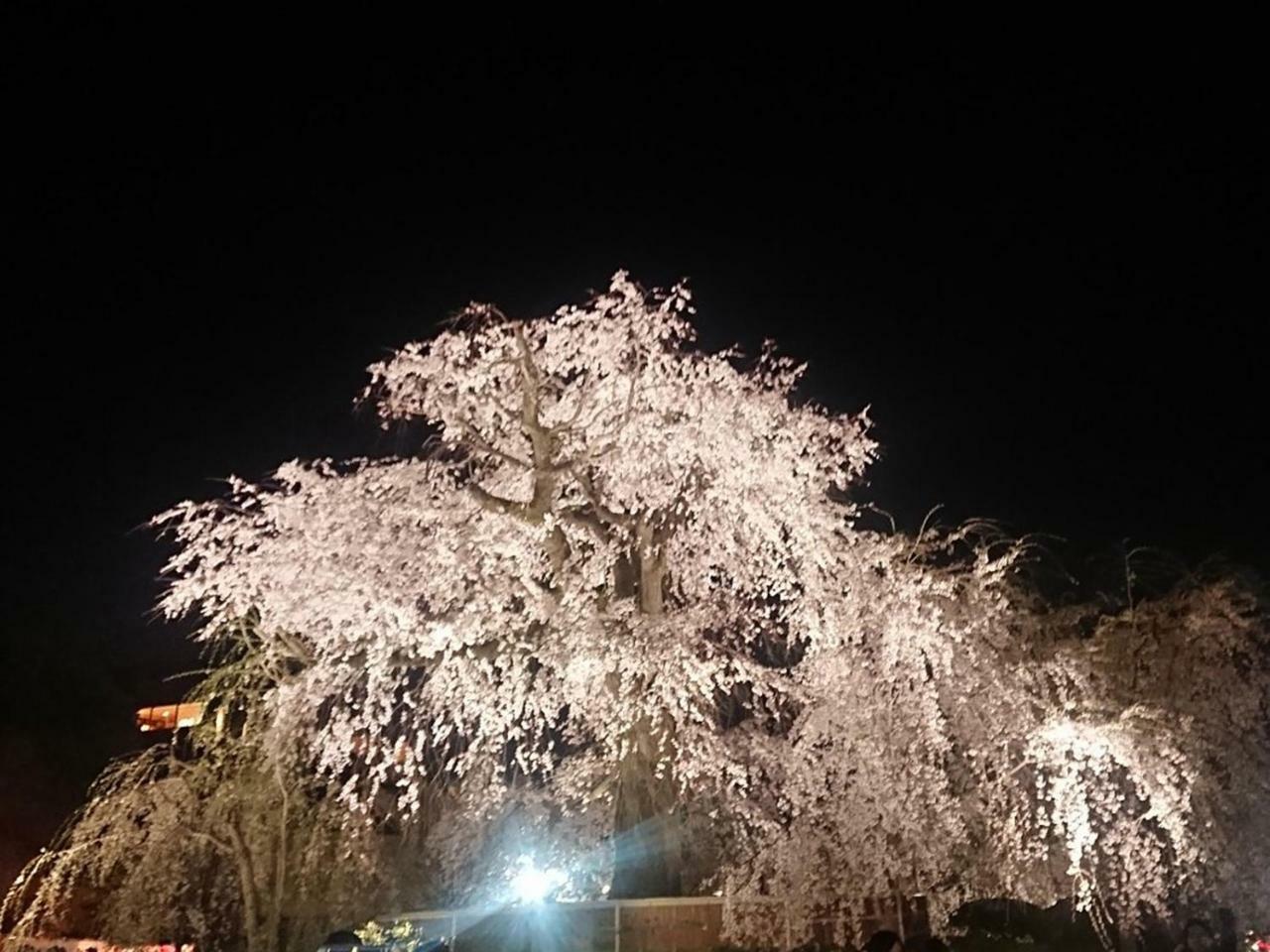 Hostel Kyoto Arashiyama Muko Ngoại thất bức ảnh