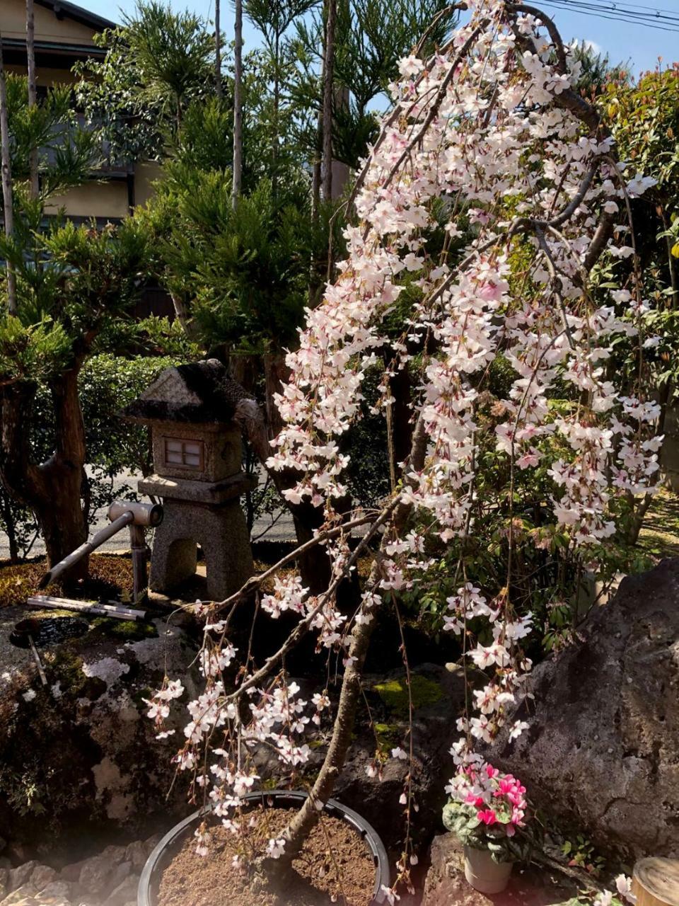 Hostel Kyoto Arashiyama Muko Ngoại thất bức ảnh